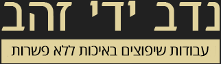 א.א צביעת דירות