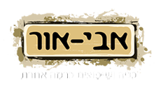 אבי אור שיפוץ ובנייה