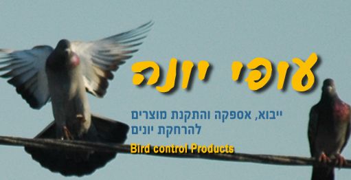 עופי יונה – הרחקת יונים ובעלי כנף