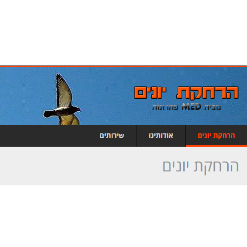 הרחקת יונים – MED פתרונות איכות עבור הרחקת יונים