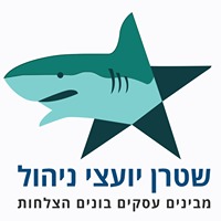 שטרן יועצי ניהול – מבינים עסקים בונים הצלחות