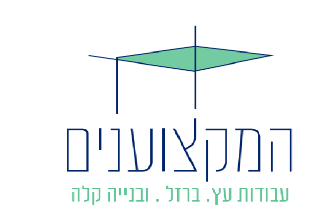 המקצוענים